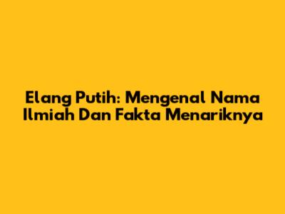 Elang Putih: Mengenal Nama Ilmiah Dan Fakta Menariknya