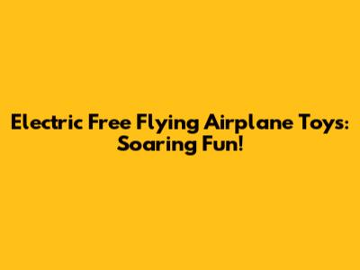 Electric Free Flying Airplane Toys: Soaring Fun!
