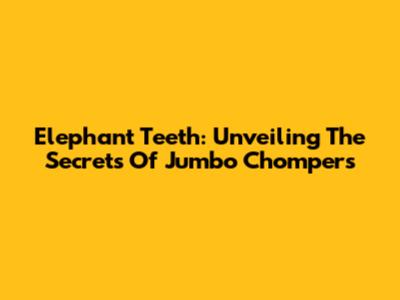 Elephant Teeth: Unveiling The Secrets Of Jumbo Chompers