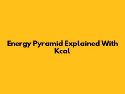 Energy Pyramid Explained With Kcal
