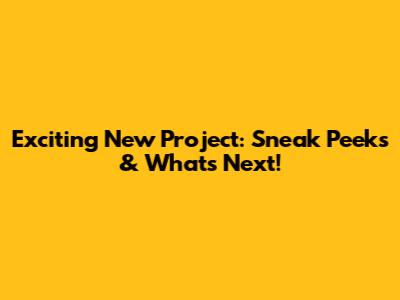 Exciting New Project: Sneak Peeks & What's Next!
