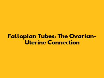 Fallopian Tubes: The Ovarian-Uterine Connection