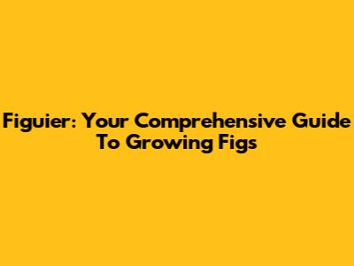 Figuier: Your Comprehensive Guide To Growing Figs