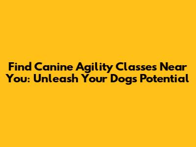 Find Canine Agility Classes Near You: Unleash Your Dog's Potential