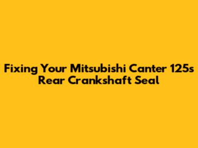 Fixing Your Mitsubishi Canter 125's Rear Crankshaft Seal
