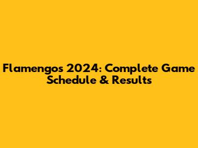Flamengo's 2024: Complete Game Schedule & Results