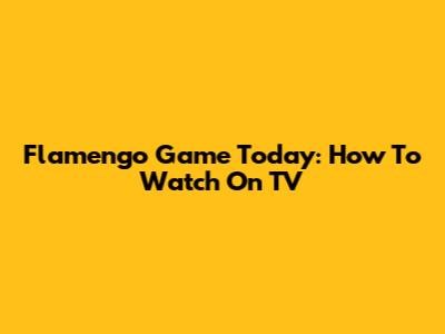 Flamengo Game Today: How To Watch On TV