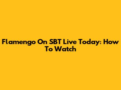 Flamengo On SBT Live Today: How To Watch