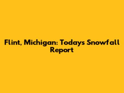 Flint, Michigan: Today's Snowfall Report