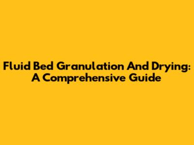 Fluid Bed Granulation And Drying: A Comprehensive Guide