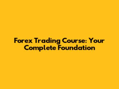 Forex Trading Course: Your Complete Foundation