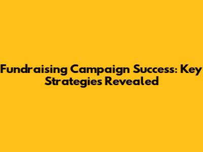 Fundraising Campaign Success: Key Strategies Revealed