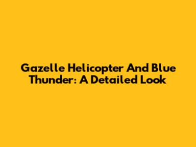 Gazelle Helicopter And Blue Thunder: A Detailed Look