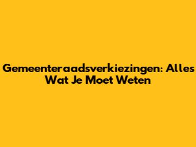 Gemeenteraadsverkiezingen: Alles Wat Je Moet Weten