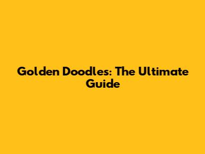 Golden Doodles: The Ultimate Guide