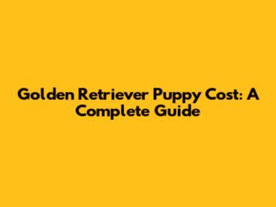 Golden Retriever Puppy Cost: A Complete Guide
