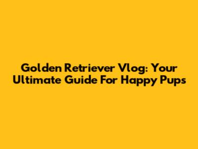 Golden Retriever Vlog: Your Ultimate Guide For Happy Pups