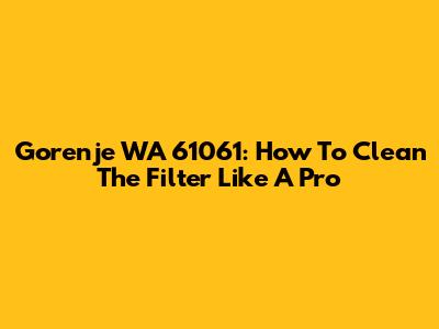 Gorenje WA 61061: How To Clean The Filter Like A Pro
