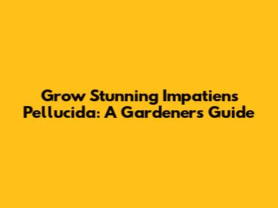 Grow Stunning Impatiens Pellucida: A Gardener's Guide