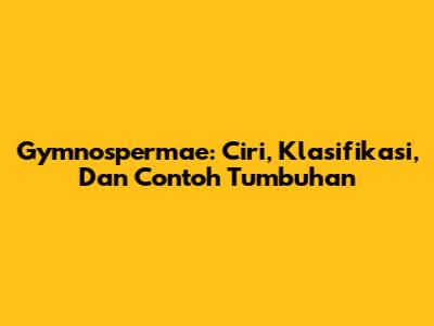 Gymnospermae: Ciri, Klasifikasi, Dan Contoh Tumbuhan