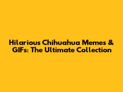 Hilarious Chihuahua Memes & GIFs: The Ultimate Collection