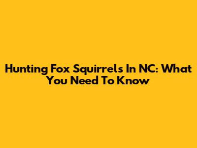 Hunting Fox Squirrels In NC: What You Need To Know