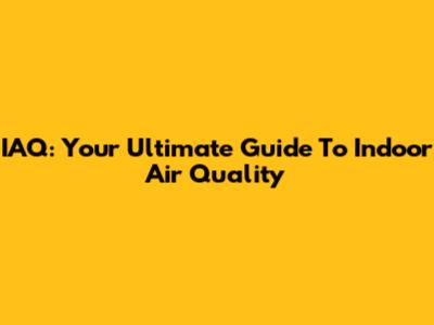 IAQ: Your Ultimate Guide To Indoor Air Quality