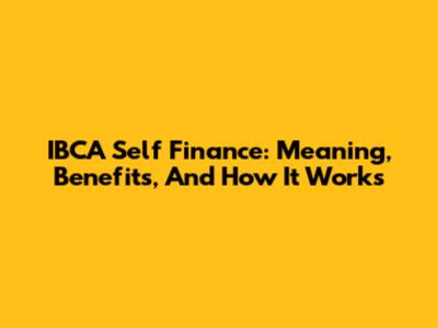 IBCA Self Finance: Meaning, Benefits, And How It Works