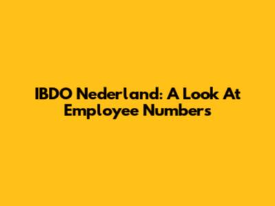 IBDO Nederland: A Look At Employee Numbers