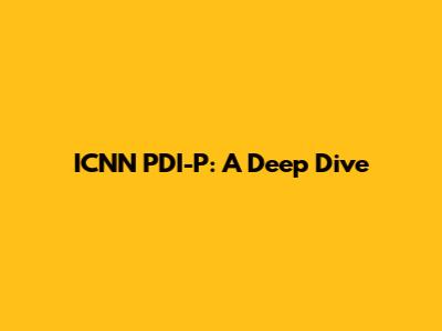 ICNN PDI-P: A Deep Dive