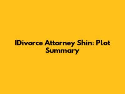 IDivorce Attorney Shin: Plot Summary