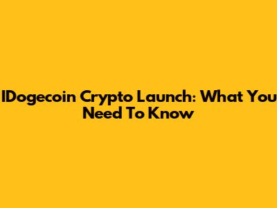IDogecoin Crypto Launch: What You Need To Know