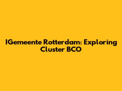 IGemeente Rotterdam: Exploring Cluster BCO