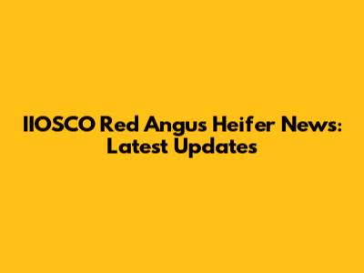 IIOSCO Red Angus Heifer News: Latest Updates