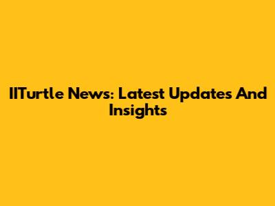 IITurtle News: Latest Updates And Insights