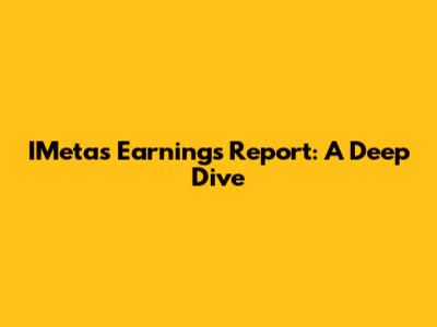 IMeta's Earnings Report: A Deep Dive