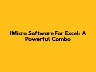 IMicro Software For Excel: A Powerful Combo