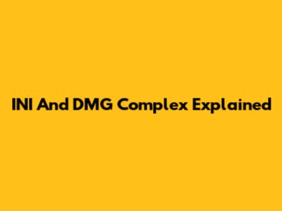 INI And DMG Complex Explained