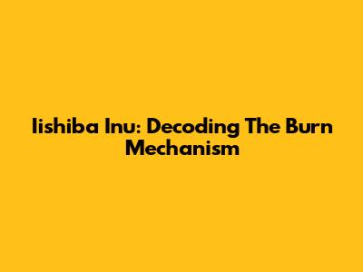 Iishiba Inu: Decoding The Burn Mechanism
