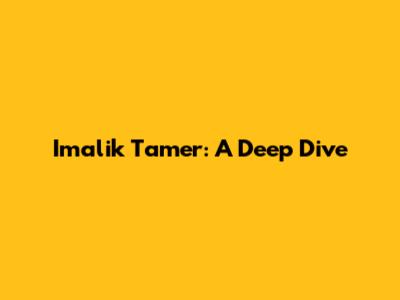 Imalik Tamer: A Deep Dive