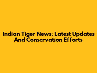 Indian Tiger News: Latest Updates And Conservation Efforts