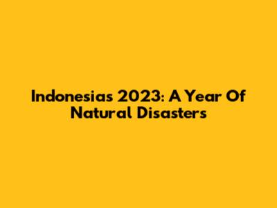 Indonesia's 2023: A Year Of Natural Disasters
