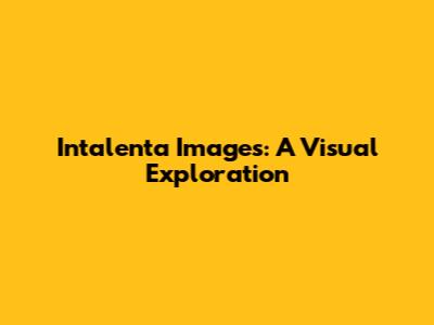 Intalenta Images: A Visual Exploration