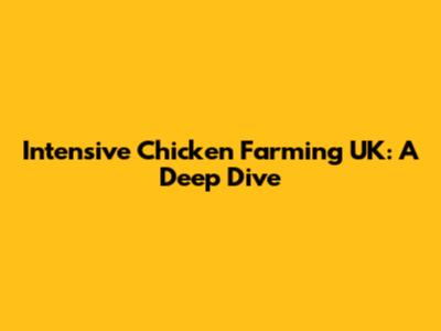 Intensive Chicken Farming UK: A Deep Dive