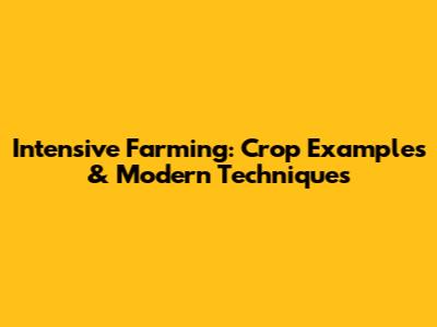 Intensive Farming: Crop Examples & Modern Techniques