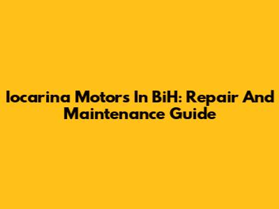 Iocarina Motors In BiH: Repair And Maintenance Guide