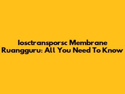 Iosctransporsc Membrane Ruangguru: All You Need To Know