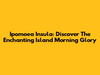 Ipomoea Insula: Discover The Enchanting Island Morning Glory