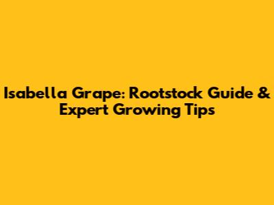 Isabella Grape: Rootstock Guide & Expert Growing Tips