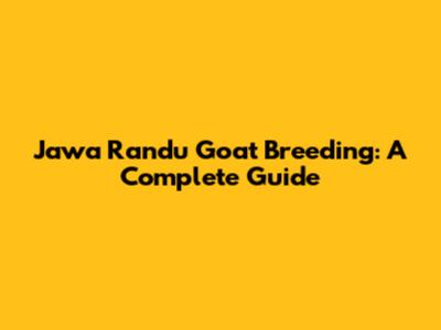Jawa Randu Goat Breeding: A Complete Guide